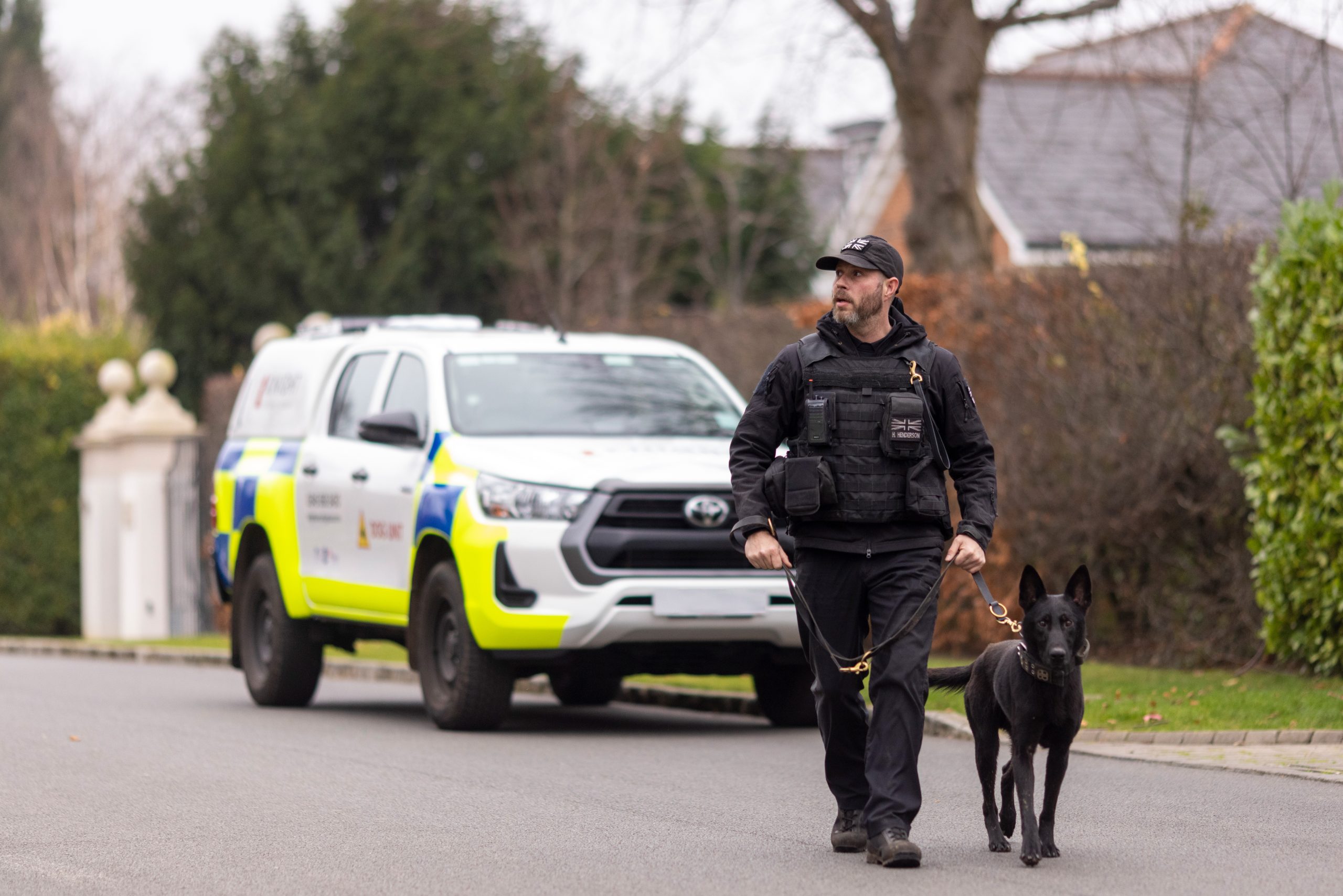 K9 Security Dog Services